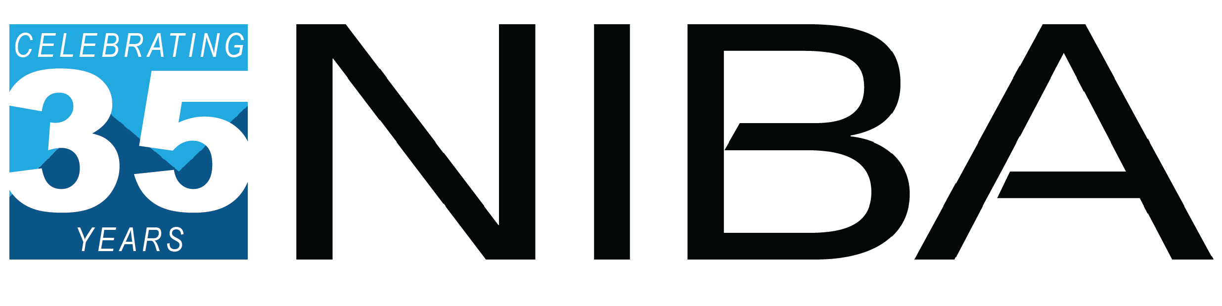 National Introducing Brokers Association
